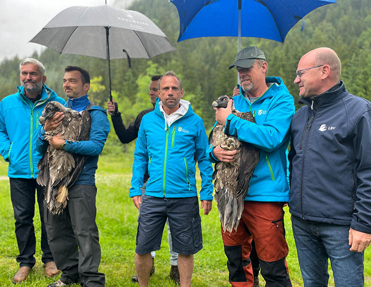 Beim Festakt zur Auswilderung (v.l.): Dr. Roland Baier (Nationalparkleiter), David Schuhwerk (LBV) mit „Dagmar“, Umweltminister Thorsten Glauber, Ulrich Brendel (Nationalpark) mit „Recka“, Dr. Norbert Schäffer (LBV-Vorsitzender) - © NPV BGD