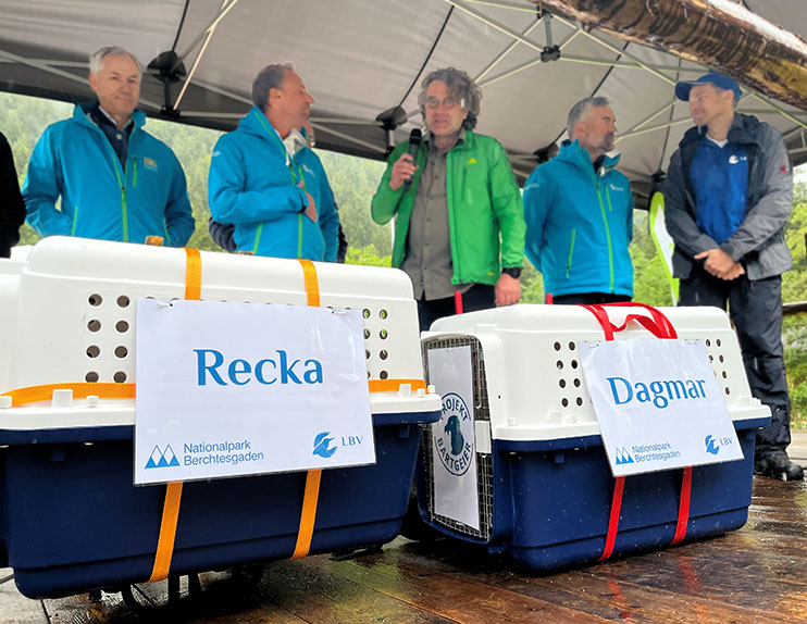 Dr. Christian Barth (Amtschef Bay. Umweltministerium), Umweltminister Thorsten Glauber, Moderator Dr. Georg Bayerle, Nationalparkleiter Dr. Roland Baier und Toni Wegscheider (LBV) - © NPV BGD