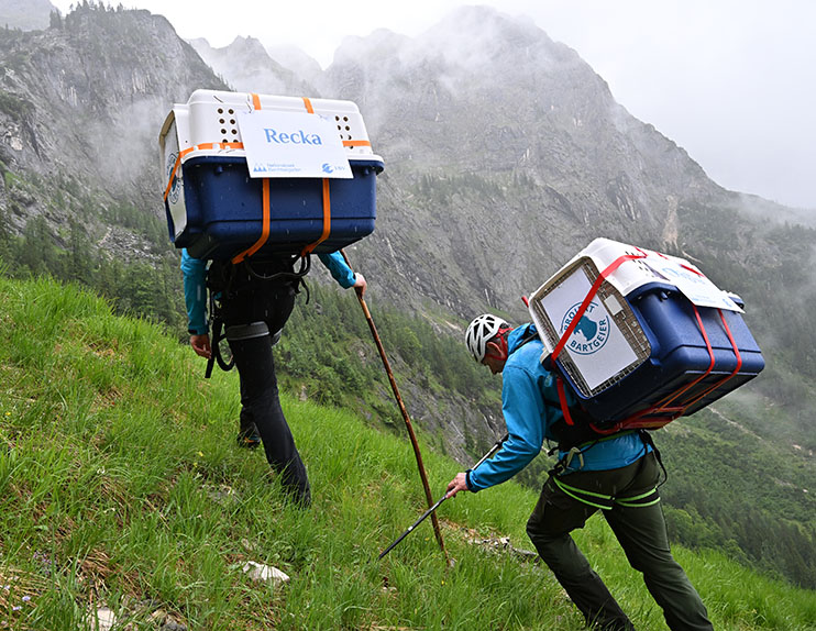 Aufstieg durch alpines Gelände im Dauerregen - © Hansruedi Weyrich (weyrichfoto.ch)